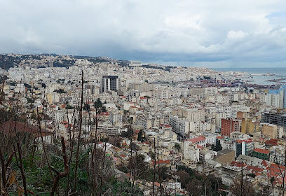 Le boulevard d&rsquo;alger