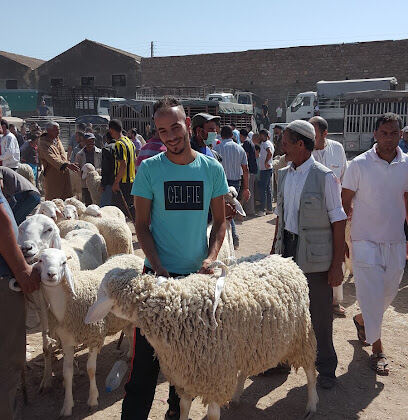 Le Marché aux bestiaux d’El Eulma