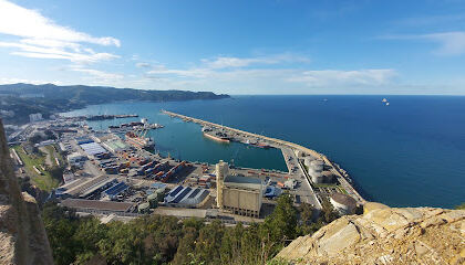 Les pins