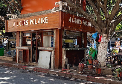 L’ours Polaire
