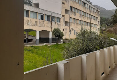 Lycée Chihani Bachir