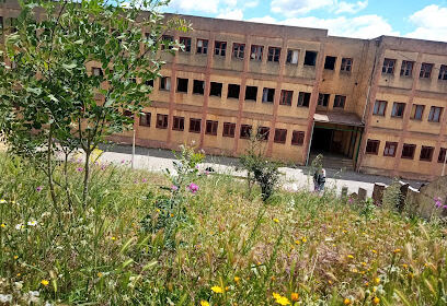 Lycée Hamdani Saïd