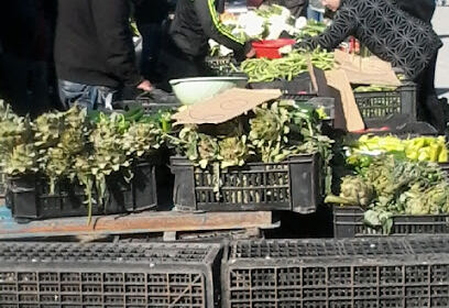Marche hebdomadaire tigzirt
