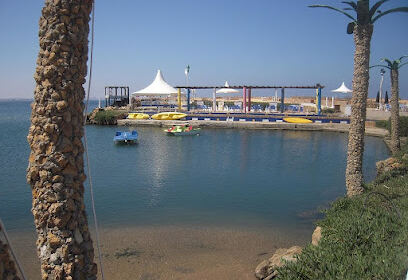 Marina Palm