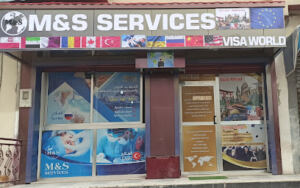 M&S SERVICES