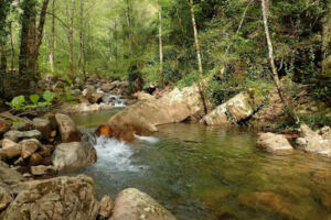 Oued Yerdjana