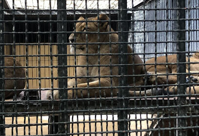 Parc Zoologique du Hamma