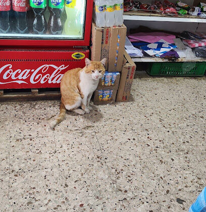 Pharmacie Bouzeraa H