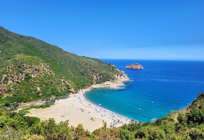 Plage Oued El Hadjar