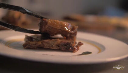 restaurant freha