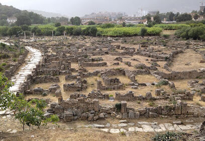 Ruines d’Hippone