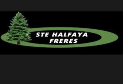 SARL STE FRÈRES HALFAYA BUREAU