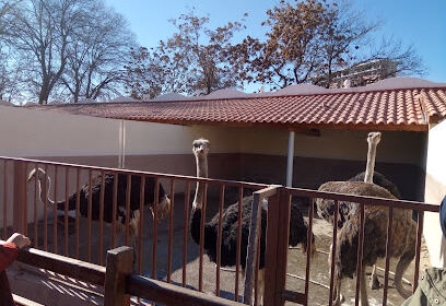 Setif Zoo