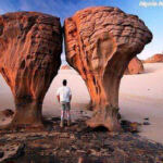 Tamanrasset