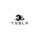 Tesla car service