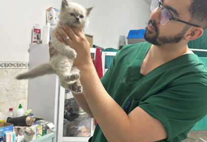 Vétérinaire familyvet alger