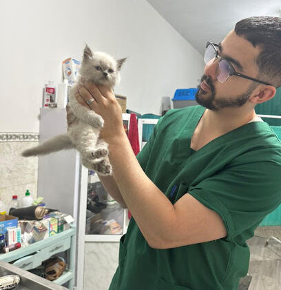 Vétérinaire familyvet alger
