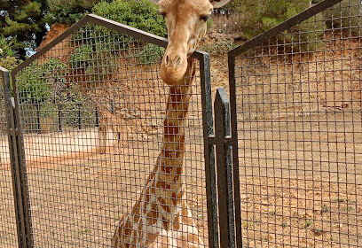 Zoo Ben Aknoun – Animaux sauvages