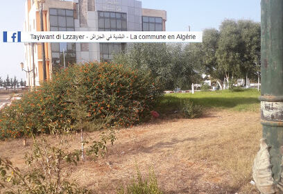 A.P.C d’Ain El Kerma