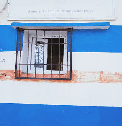 Annexe Locale de l’Emploi de dellys