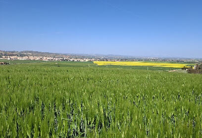 Beni sliman