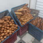 Boulangerie El eZZA