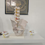 Cabinet D’orthopedie Dr Benmihoub