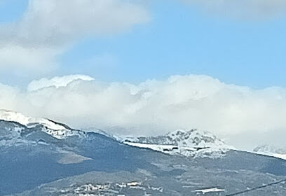 Direction de l’environnement de la wilaya d’Oran