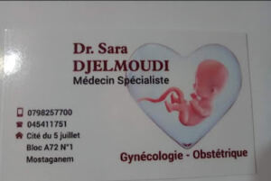 Dr Djelmoudi S