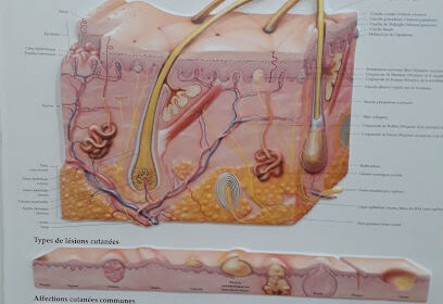 Dr. Maya MERAOUBI BEN-YELLES, dermatologue