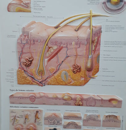 Dr. Maya MERAOUBI BEN-YELLES, dermatologue