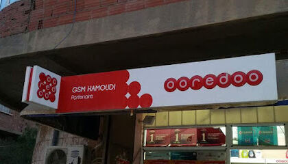 HAMOUDI GSM