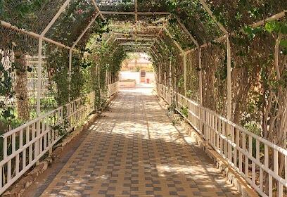 IAP, Hassi Messaoud School