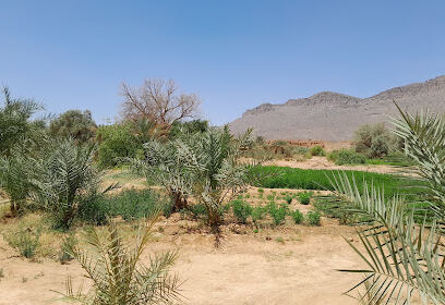 imihrou , tihoubar , Ilizi