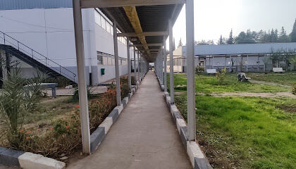 Institut National de Formation Saidi Abdelhamid