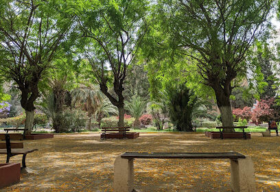 JARDIN Cayla (Khemisti)