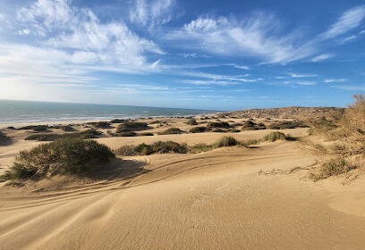 Les dunes