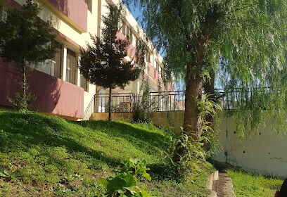 Lycée Bastos