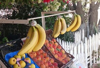 Mini market chez fouad zitouni