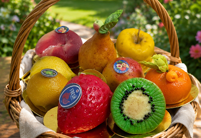 Moona saveurs