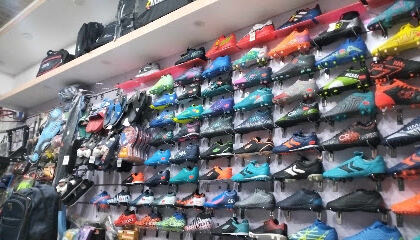Palisport