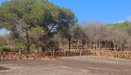Parc forestier de Sadawa Sidi Lakhdar