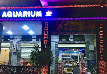 Pizzeria Aquarium 🍕🍔