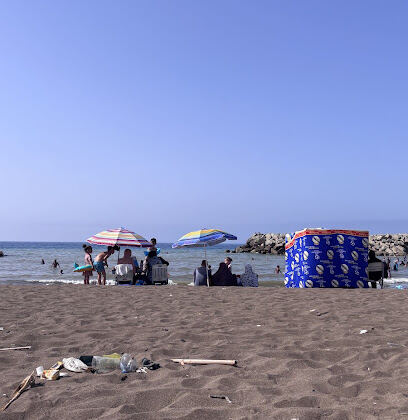 Plage ibiza – Bois sacré