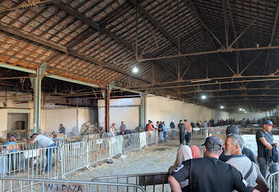 point de vente CCLS HADJOUT
