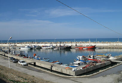 Port de pêche gouraya 911