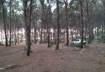 Restaurant Foret Zamouri