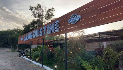 Restaurant langoustine tipaza