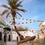 Salamandre Mostaganem