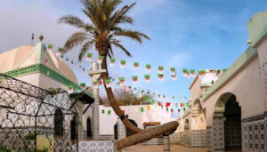 Salamandre Mostaganem